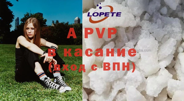 бошки Корсаков
